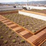 Example of green roof